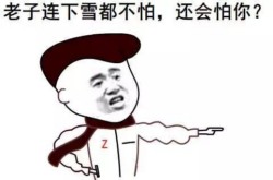 没图聊个毛第二期表情包