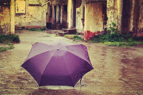 彩色雨伞优美意境美图大全 花已开过,情已来过,转头成空伤了今心