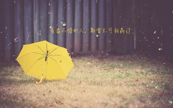 彩色雨伞优美意境美图大全 花已开过,情已来过,转头成空伤了今心