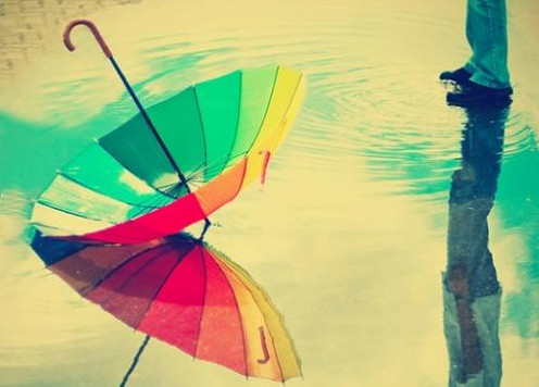 彩色雨伞优美意境美图大全 花已开过,情已来过,转头成空伤了今心