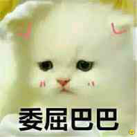 委屈的猫咪们表情包