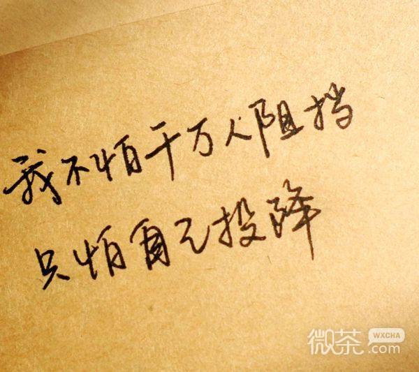 个性唯美英文好看文字图 走到今天这样的结果，真的不是我想要的