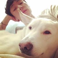 人和动物的头像 喜欢动物的人天生善良最可爱