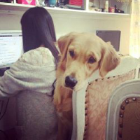 人和动物的头像 喜欢动物的人天生善良最可爱