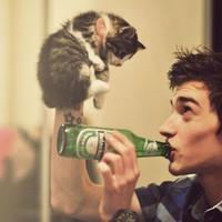 人和动物的头像 喜欢动物的人天生善良最可爱