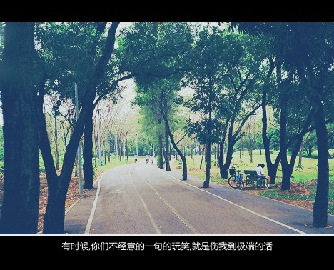 伤感文字个性那个空间美图 独自徘徊在以往无数次携手的路口