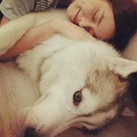 人和动物的头像 喜欢动物的人天生善良最可爱