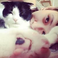 人和动物的头像 喜欢动物的人天生善良最可爱