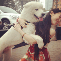 人和动物的头像 喜欢动物的人天生善良最可爱