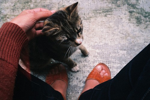 黑白个性男女欧美空间图片 凋谢是真实的,盛开只是一种过去