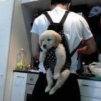 人和动物的头像 喜欢动物的人天生善良最可爱