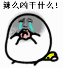 搞笑动图第八弹表情包