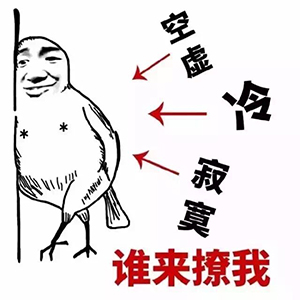 没图聊个毛第四期表情包