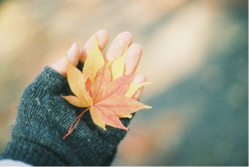 很经典的清新欧美风空间图片 总是仿佛略带几分几米式的忧伤