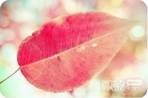 明媚的爱情欧美女生非主流个性签名图片_爱恨消磨,只愿关爱相随