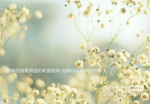 欧美女生背影图片 给时间一点时间，让过去过去，让开始开始