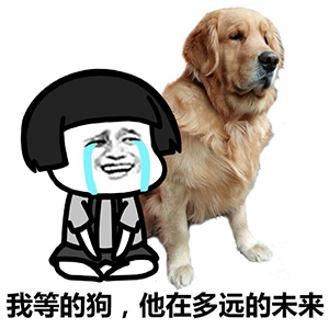 单身狗我们走表情包