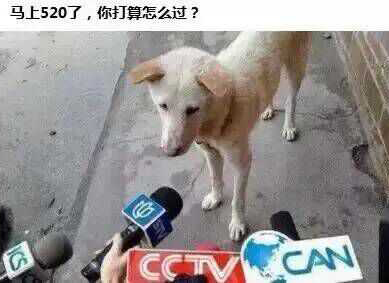 单身狗我们走表情包