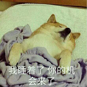 单身狗我们走表情包