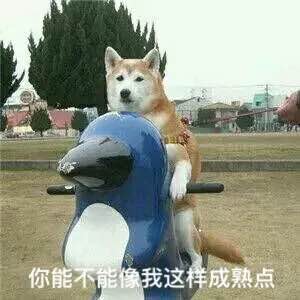 热门表情包第三弹