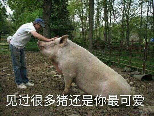 热门表情包第三弹