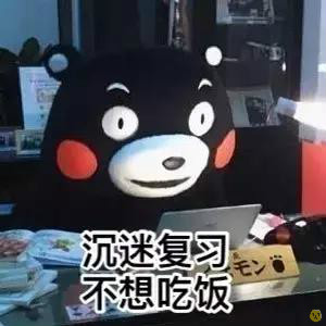 熊本熊学习小组表情包