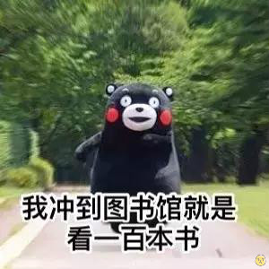 熊本熊学习小组表情包