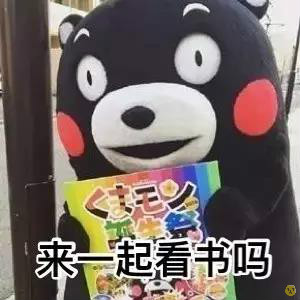 熊本熊学习小组表情包