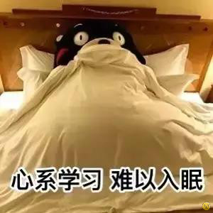 熊本熊学习小组表情包