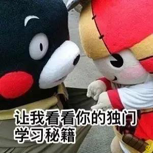 熊本熊学习小组表情包