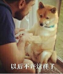 热门表情包第三弹