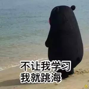 熊本熊学习小组表情包