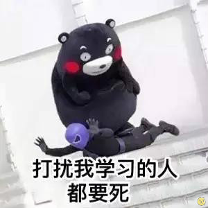 熊本熊学习小组表情包