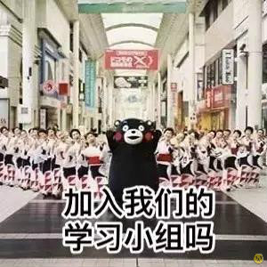 熊本熊学习小组表情包
