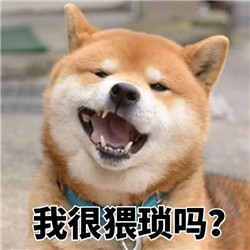 ins上的日本柴犬表情包