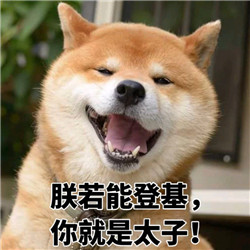 ins上的日本柴犬表情包