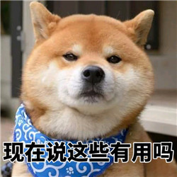 ins上的日本柴犬表情包