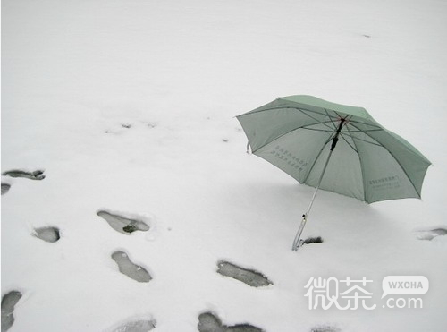 情侣浪漫爱情装饰图片:雨伞下塑造我们的爱情