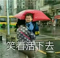 去你妈的祖国花朵表情包