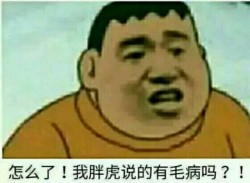 这个很胖虎表情包