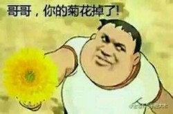 这个很胖虎表情包