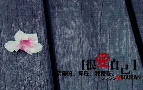 好看的FZL意境图片_太多虚伪蒙蔽了我的眼睛