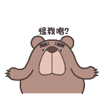 翔通动漫屌丝熊表情包