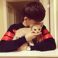 潇洒帅气的男生微信个性头像你只要那么一笑就把我打败了