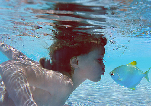 深海美景个性风景大图美腻了 爱如桥梁,把心通向了五湖四海