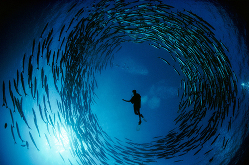 深海美景个性风景大图美腻了 爱如桥梁,把心通向了五湖四海