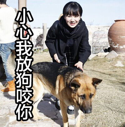 逗萌的杨紫表情包