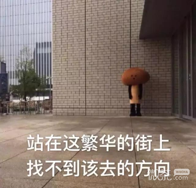 滑次郎表情包