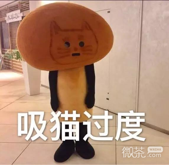 滑次郎表情包