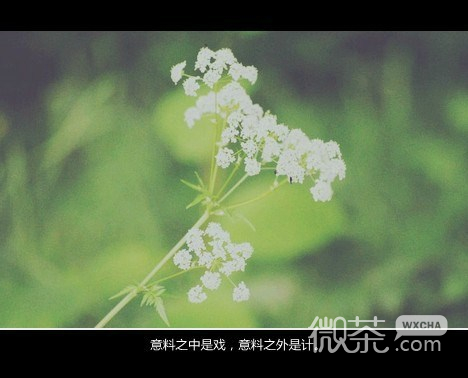 个性复古的带字空间图片 我常常顺着过去的路，寻找我往日的身影